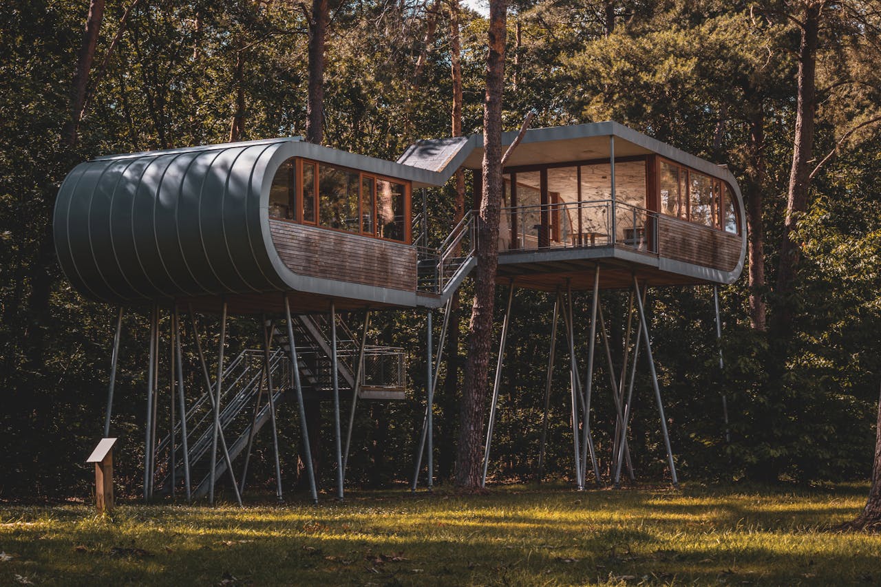 Explore contemporary treehouse design elevated among lush, green forest trees.